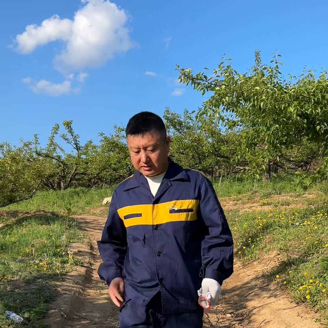 农村生活污水治理,农村生活日常