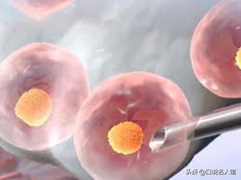 女老板嫁下属生三胞胎,51岁女老板嫁小19小伙完整版