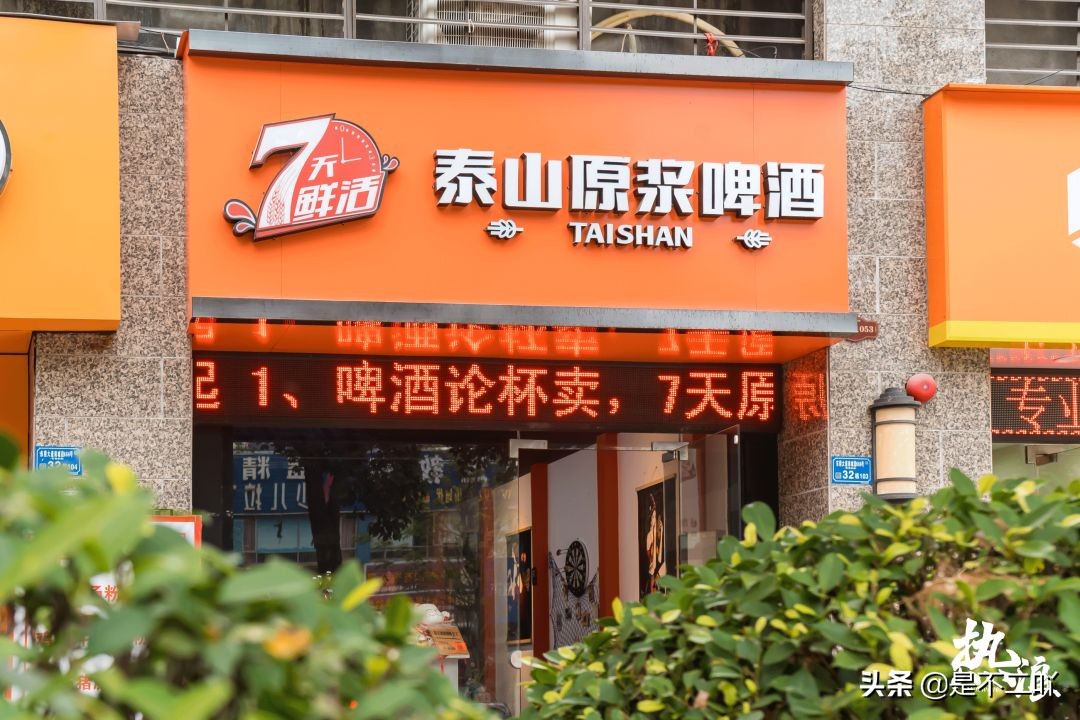 泰山七日鲜啤酒上市,泰山啤酒是如何突围的