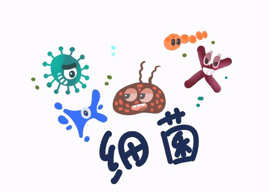 浴室除臭杀菌消毒液,消毒液杀菌除臭