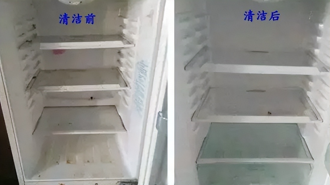 冰箱到底有多脏，看完我给马桶道了歉......
