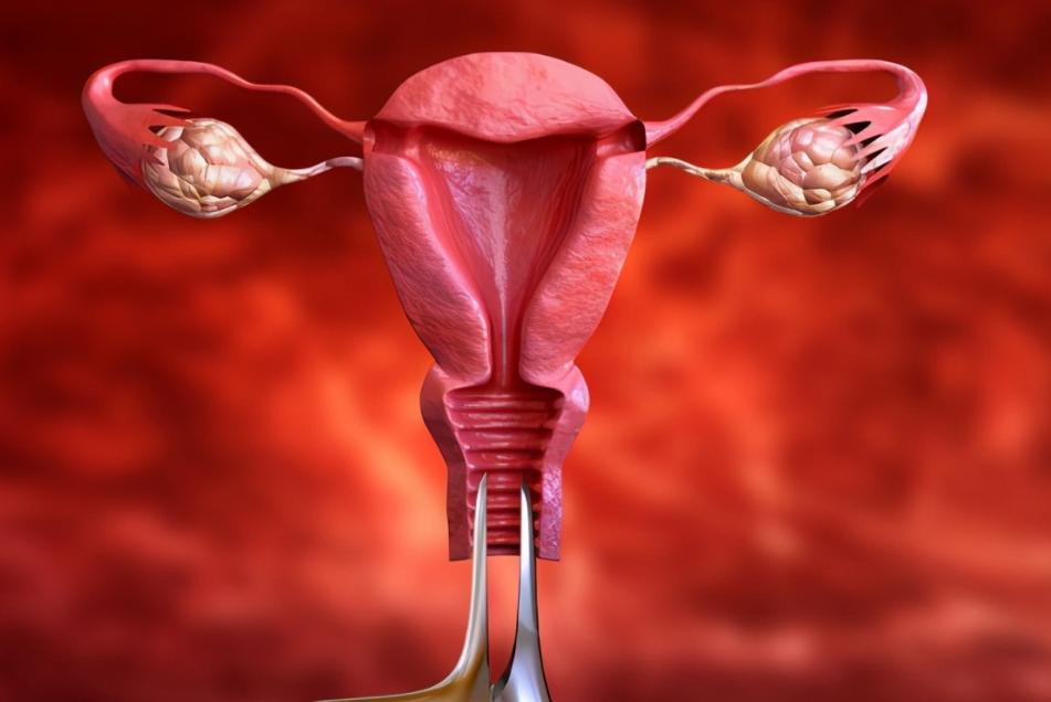 女性到了夜晚放屁多怎么回事,女性到了夜晚放屁多响怎么回事