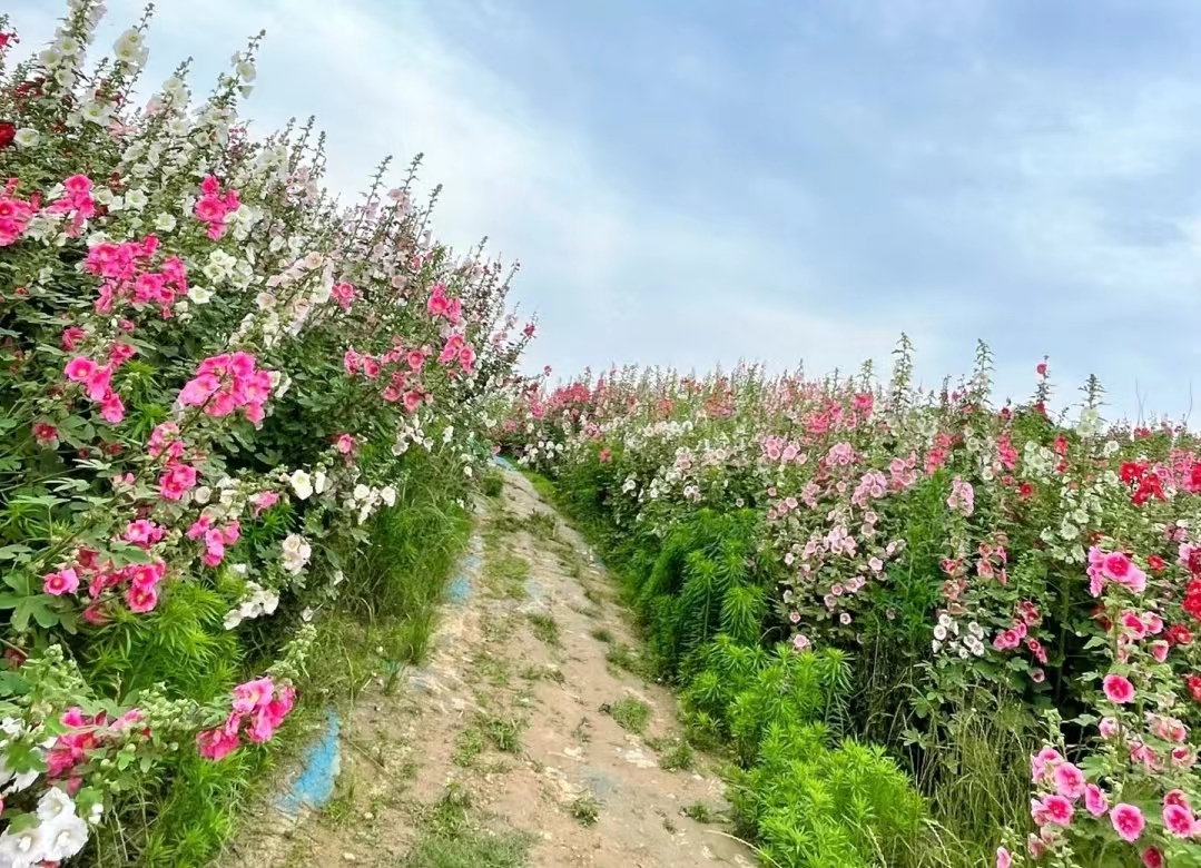 郑州周末去哪里玩又省钱又好玩,郑州夏季周末带孩子去哪里玩好