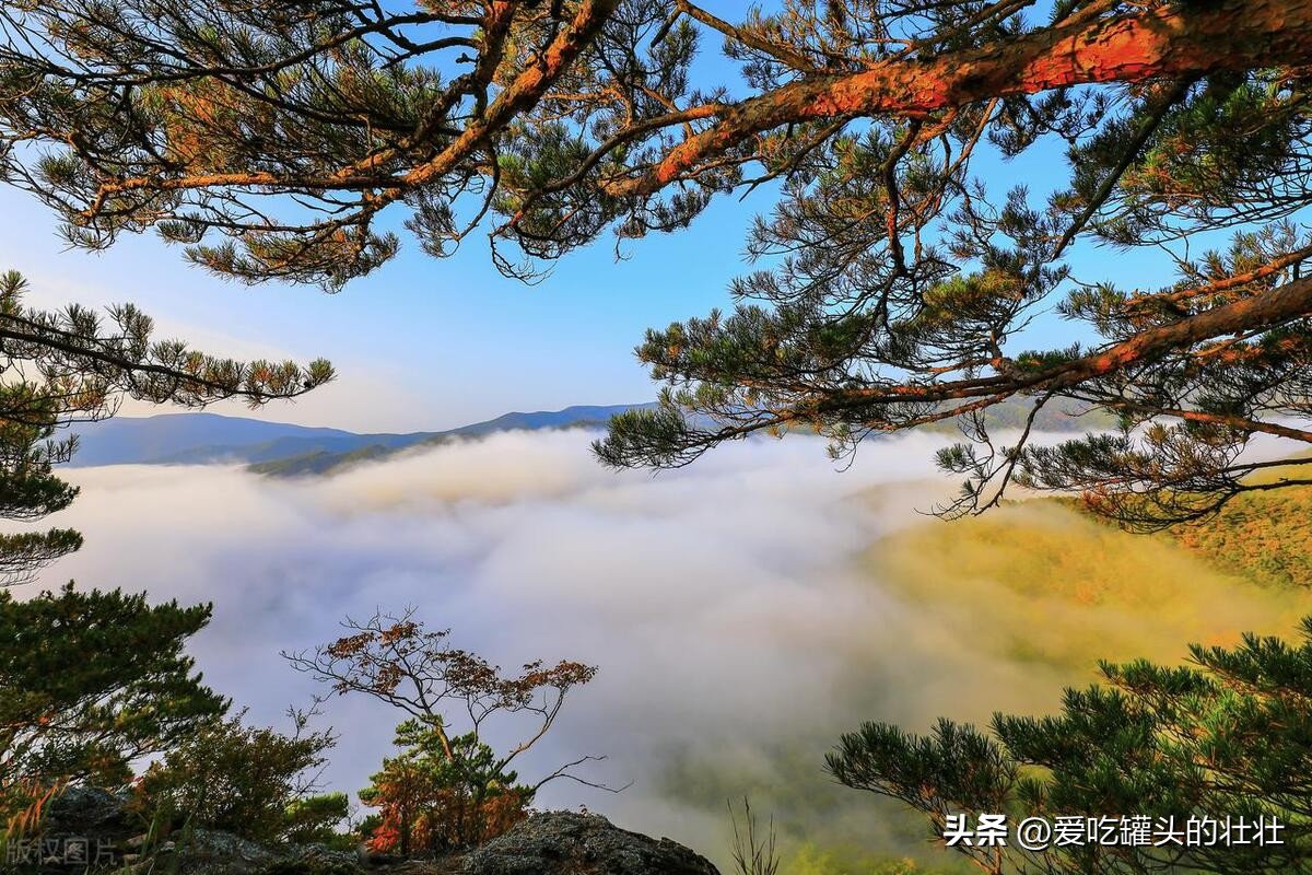 人生在低谷期的感悟,人生低谷期怎么度过