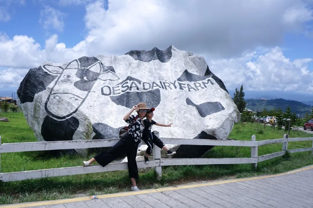 去马来西亚自由行行程,春节去马来西亚自由行