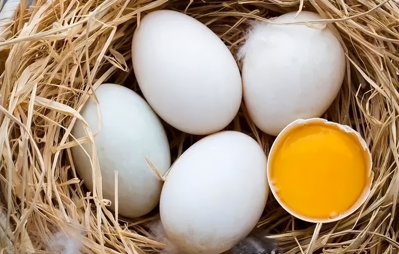 线上逛年货|不私藏了，这份龙丘珍味清单请签收！