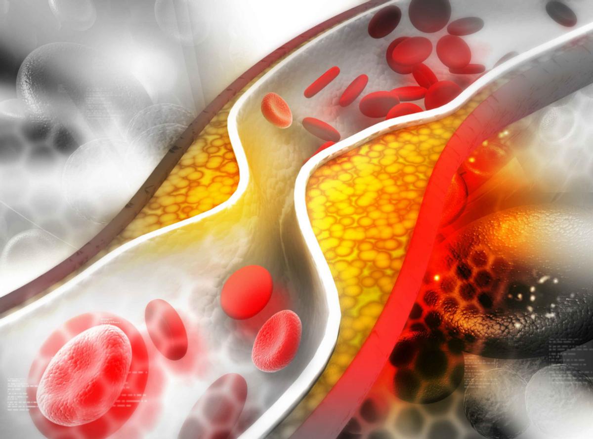 吃得少活得久，晚餐和寿命有关？美国研究：晚上饿肚子可能延寿