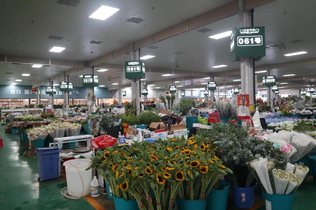 保姆级购物攻略,花市潜规则大揭秘教你怎么买花