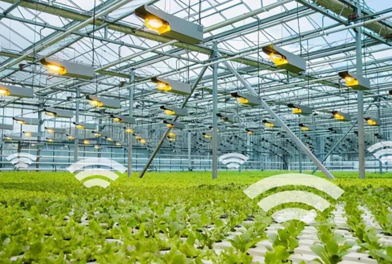 2023农田改造最新政策消息,2020年全国高标准农田改造