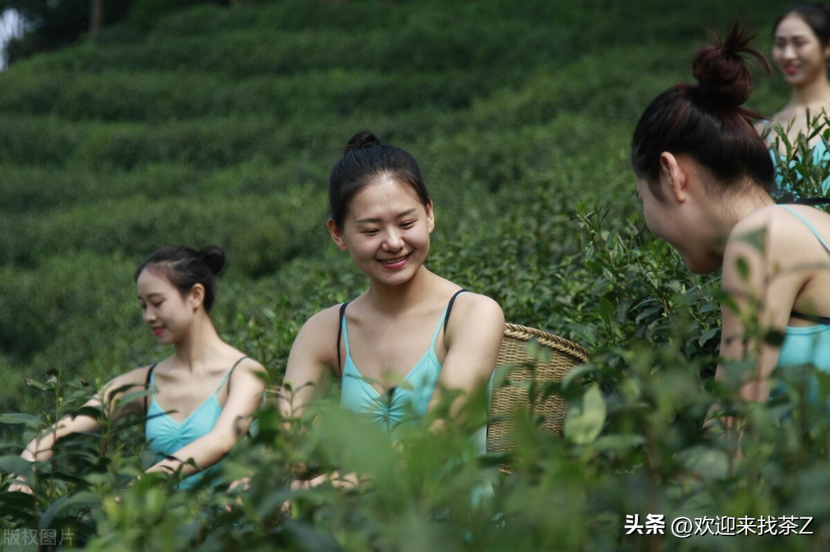 给领导茶叶怎么才能显得茶叶贵,给领导茶叶怎么让领导知道茶叶贵