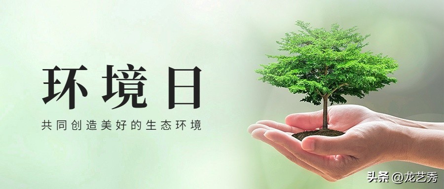 幼儿园世界环境日活动方案,小学生世界环境日活动策划合集