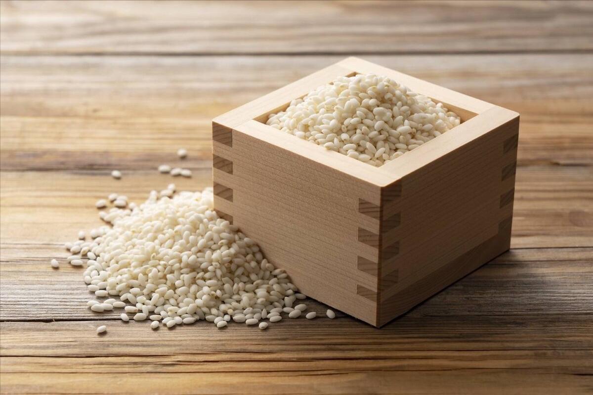 端午节包粽子的是粽叶还是芦苇叶,端午包粽用猪肉