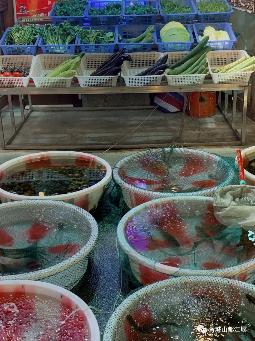 初秋城市漫游指南！都江堰8大爆款夜游地全在这里，吹河风尝美食get暴走两万步的畅快~