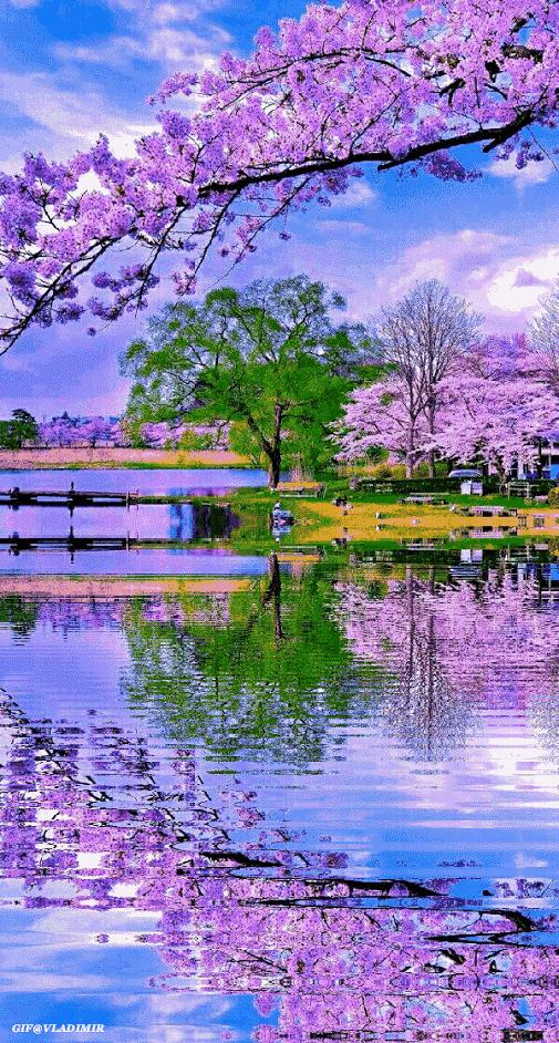 美女屏保动态壁纸高清唯美,50张顶级绝美图片动态壁纸