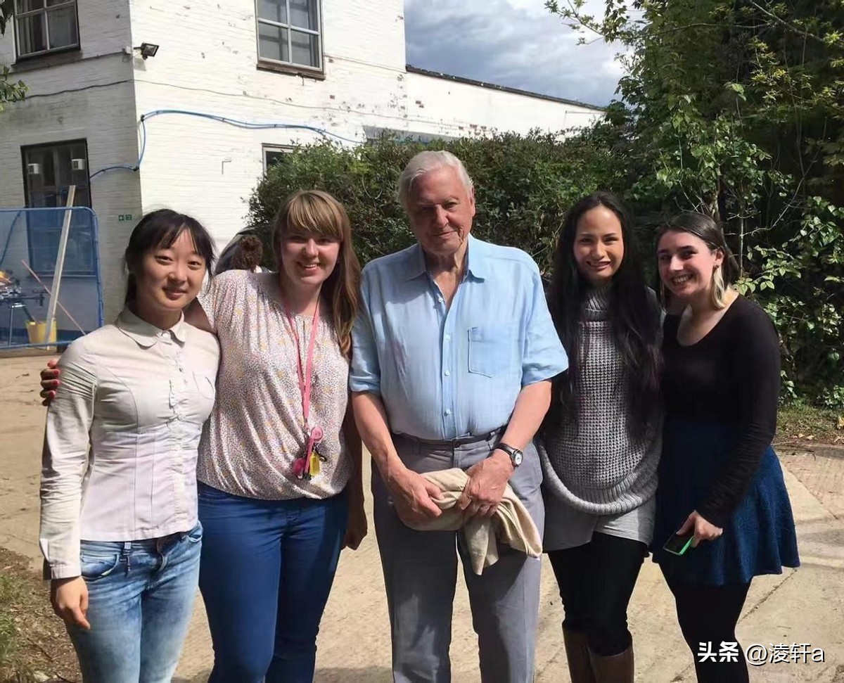 研究100种动物“*生活性**”后，牛津女博士发现人类与动物大同小异