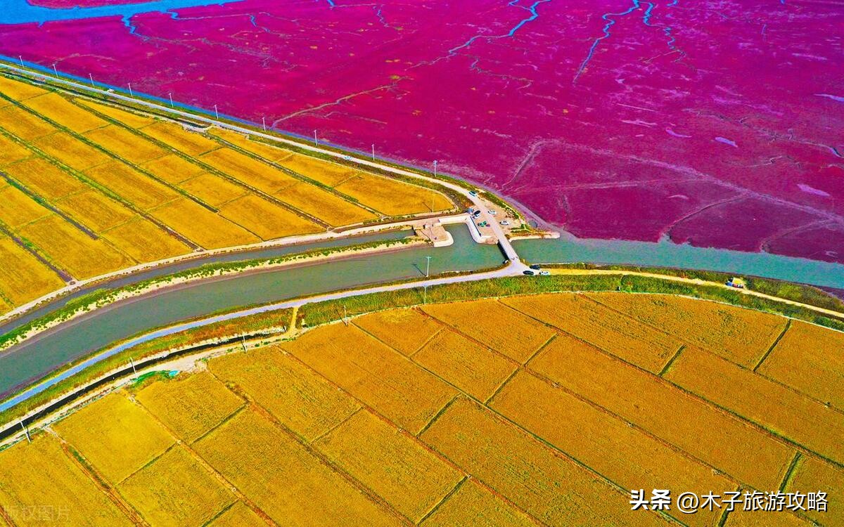 盘锦红海滩游玩攻略一日游,盘锦红海滩风景区游玩攻略