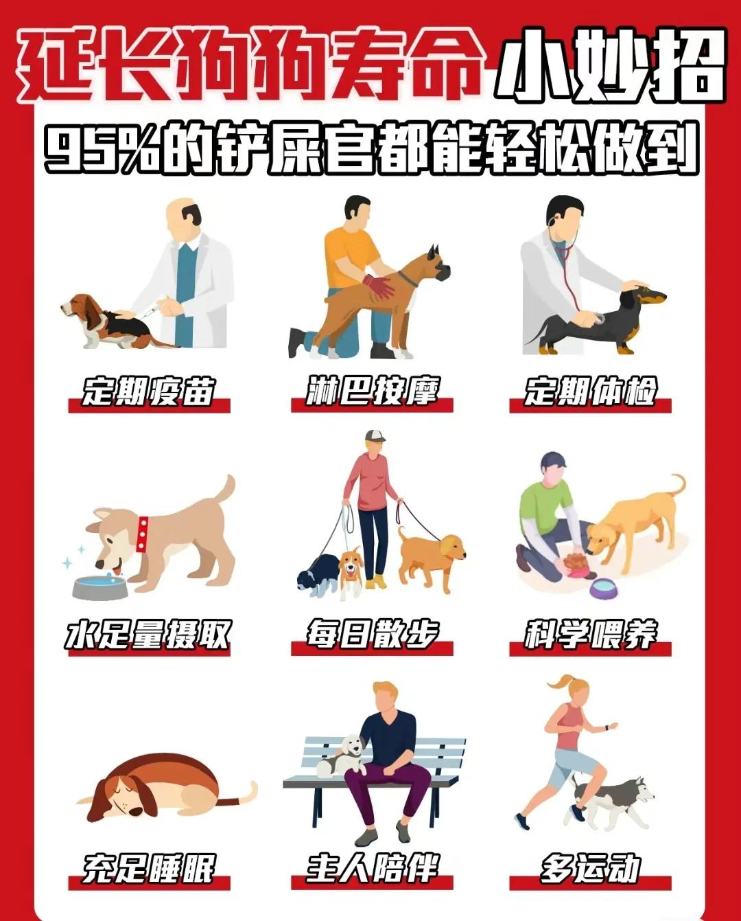 狗狗库欣氏病寿命,泰迪狗狗寿命一览表