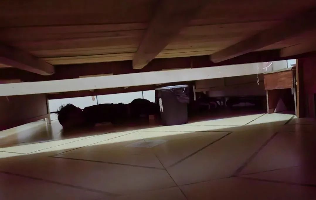 床下有人法制档案,床下有人的宿舍恐不恐怖