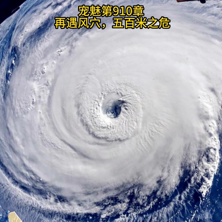 宠魅漫画直播,宠魅漫画免费观看