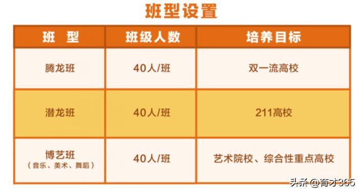 武汉陈老师谈择校,武汉民办高中陈老师