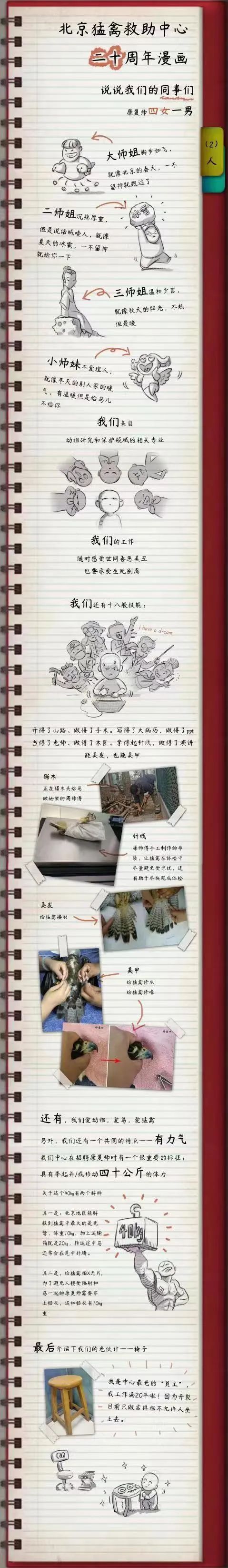 康复治疗师的职业要求,猛禽康复师