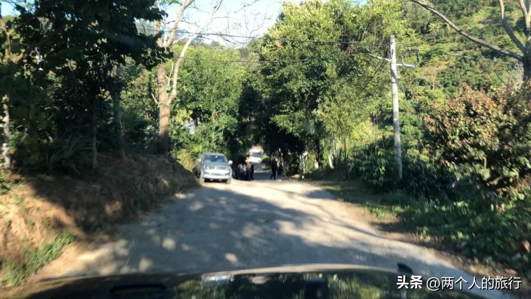 从普洱茶到古树茶的感悟,好喝普洱咖啡