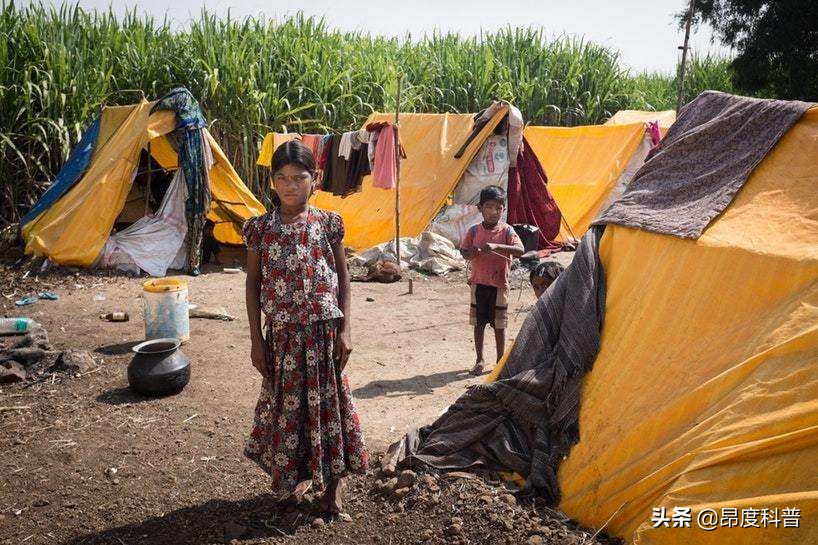 印度无子宫妇女村,印度为怀孕6个月女子剖腹