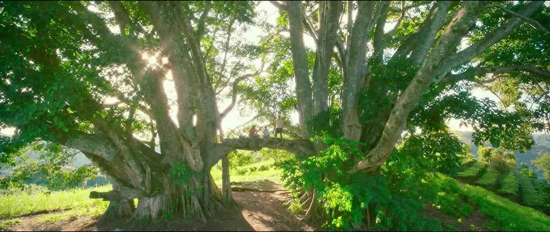 云南旅居最理想的避寒地方,云南适合旅居的小众古镇