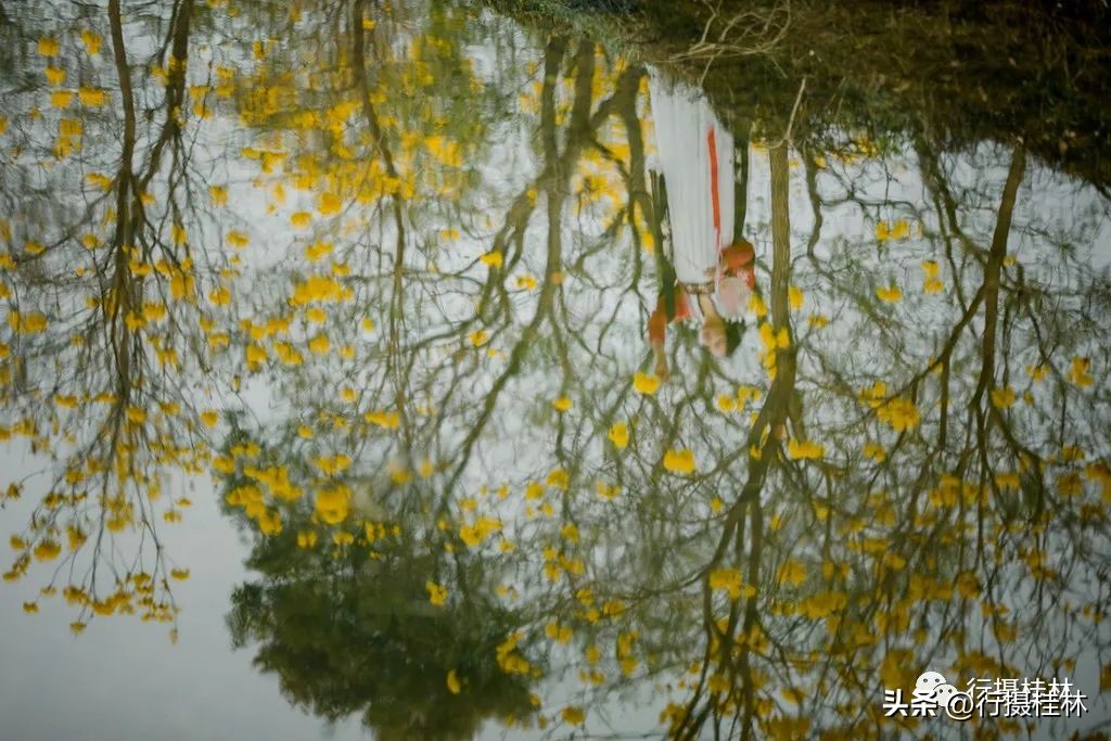 花仙子风铃,风铃花仙子