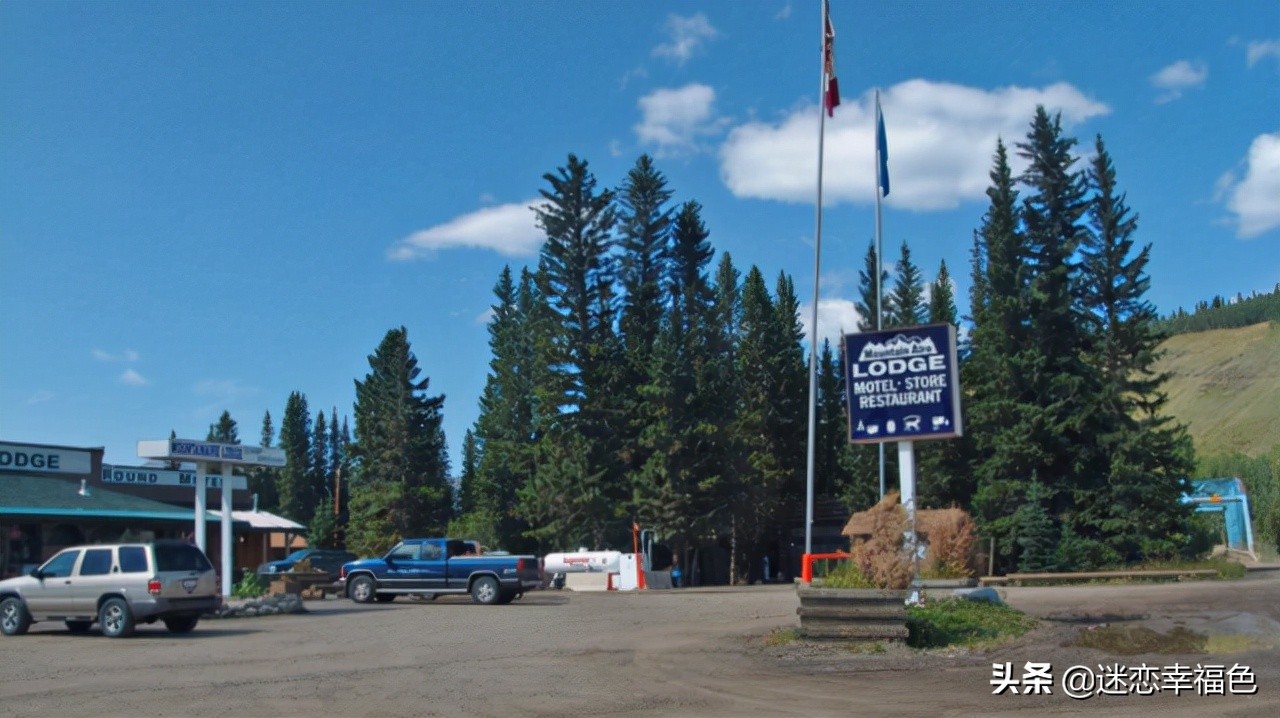 大黑熊伤人,黑熊是怎么伤人的