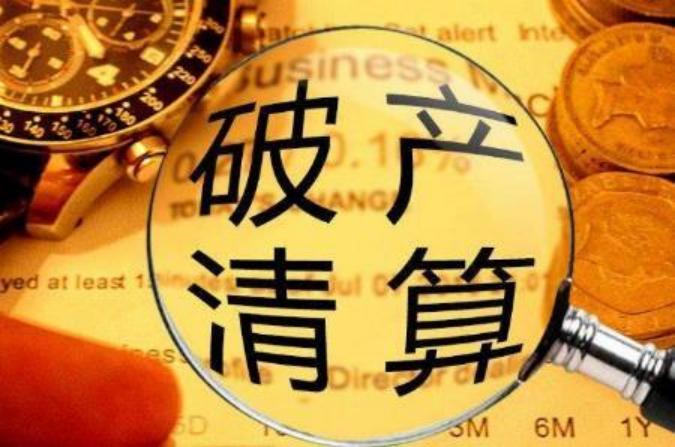 公司进入破产程序主要干啥,公司破产对股东的利与弊