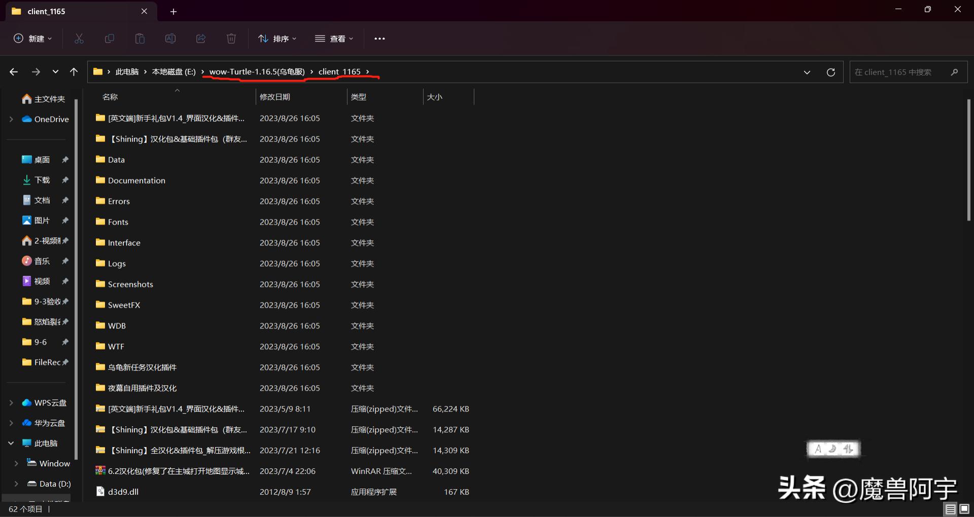 乌龟服亚服高清客户端,最新乌龟服亚服客户端怎么下
