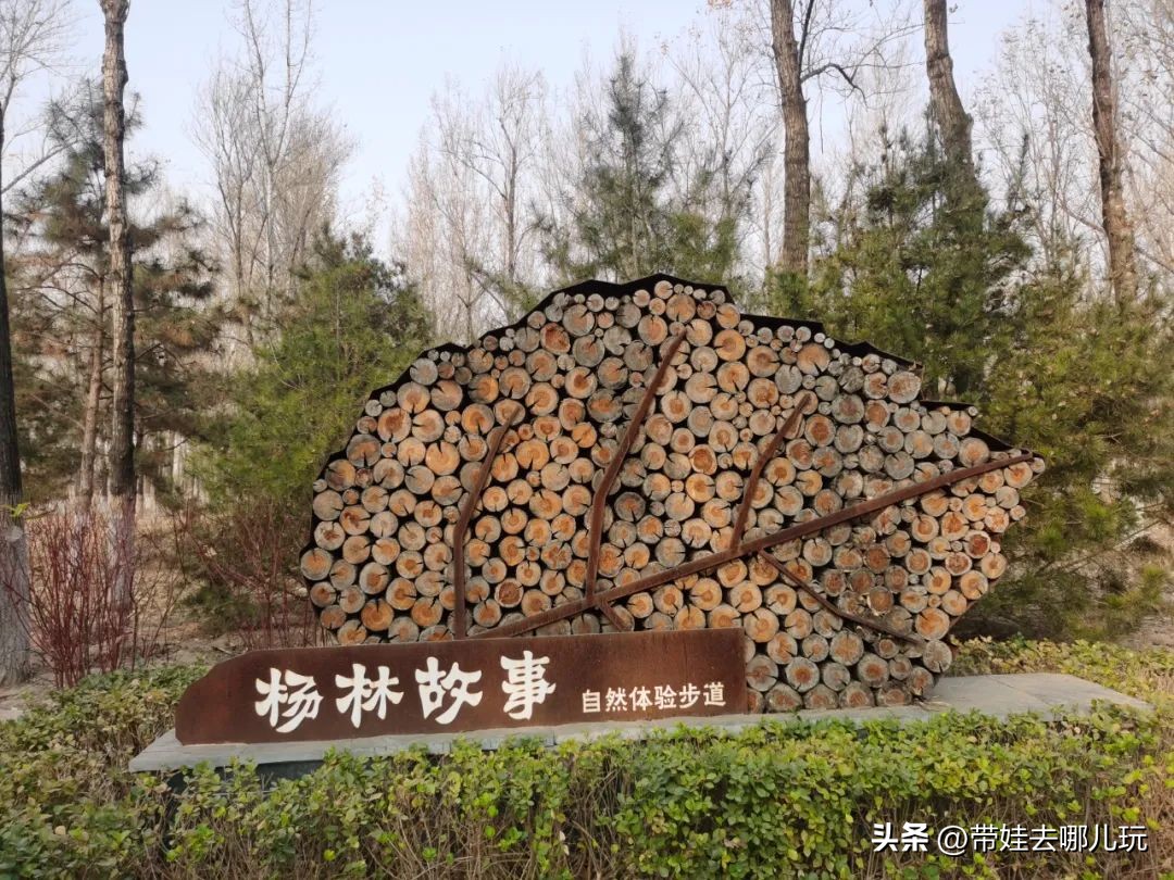 骑行国家森林公园,徒步骑行森林公园