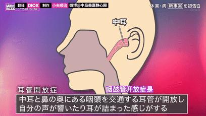 中岛美嘉传奇人生,中岛美嘉的经历