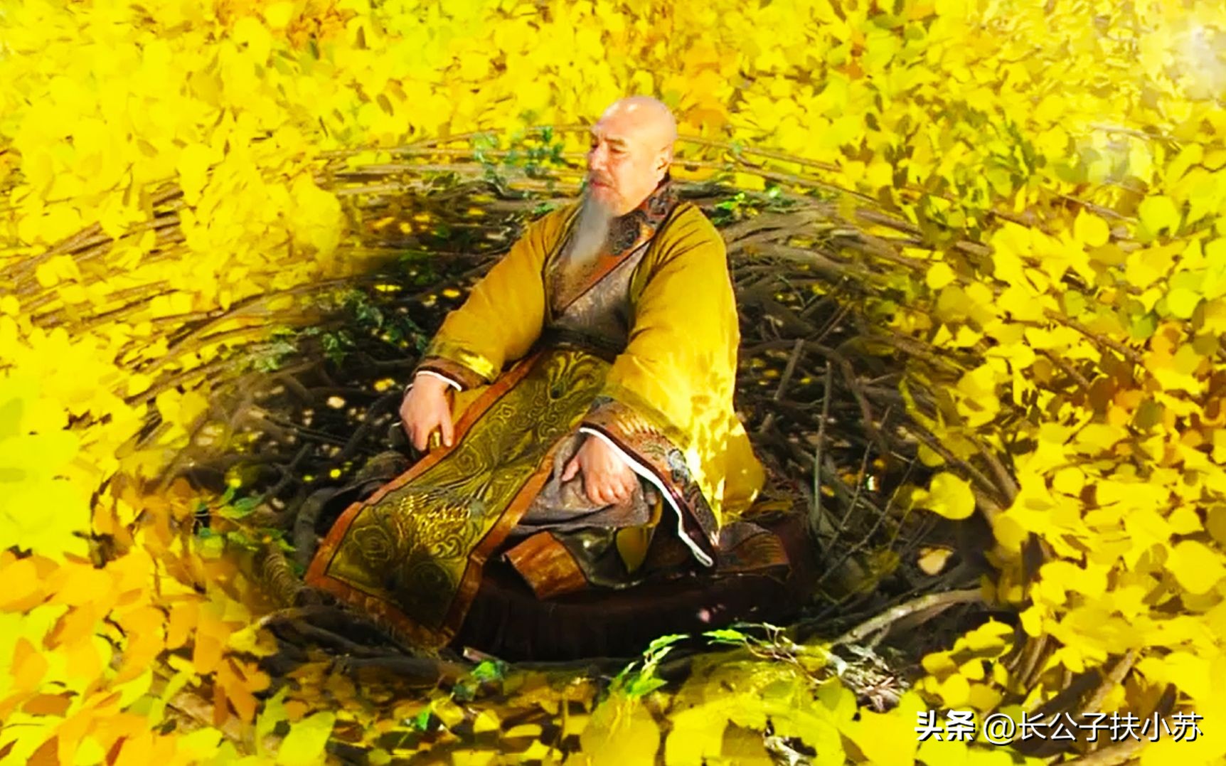 乌巢禅师有什么怪事,乌巢禅师到底是什么境界