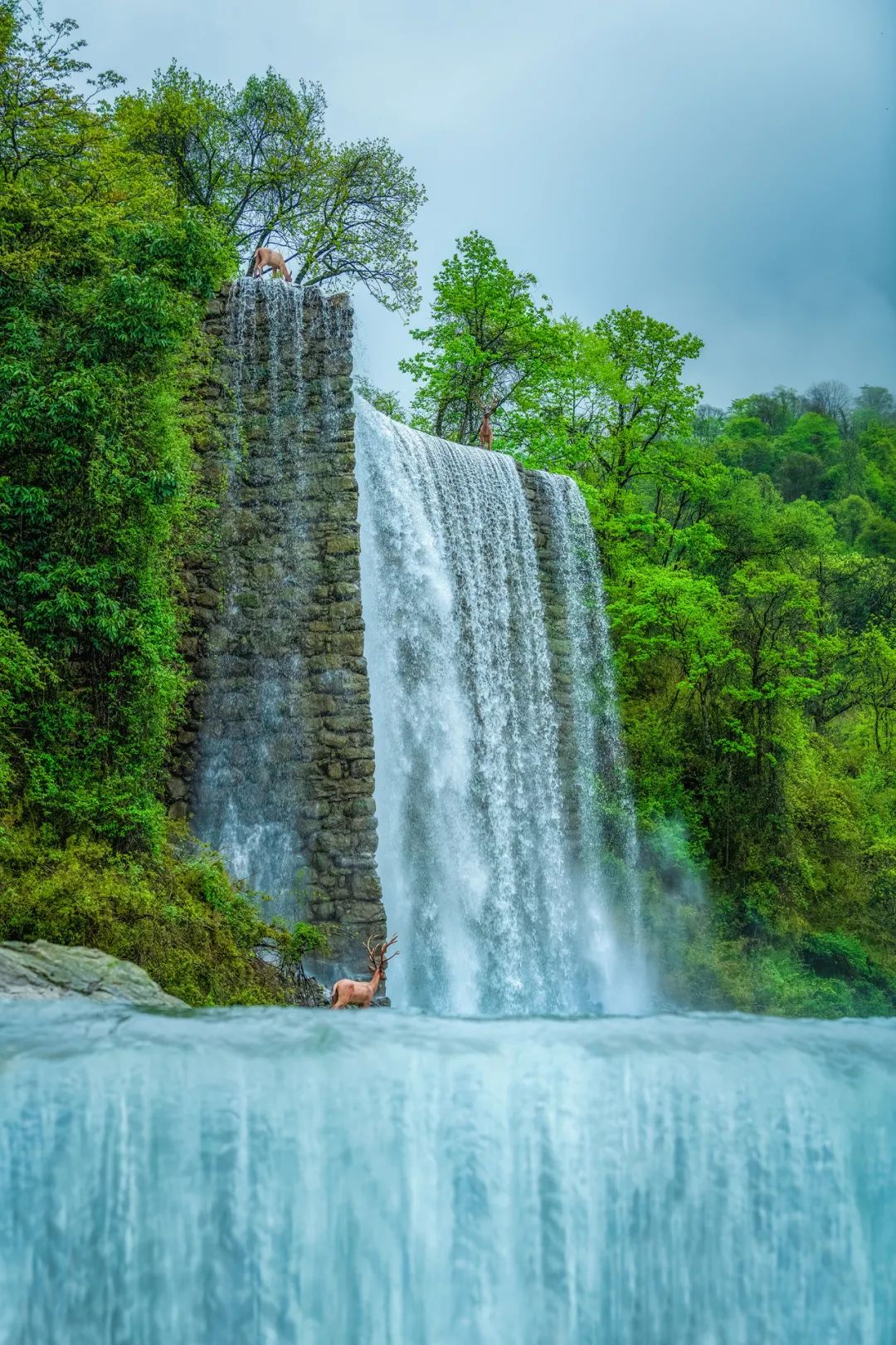来雅安去哪玩最好玩,夏天去雅安旅游怎么样