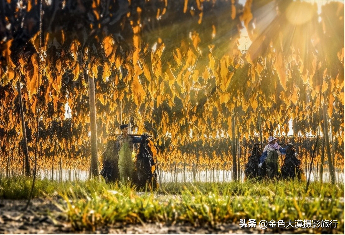 【2023年霞浦摄影团】诗画滩涂·霞浦风光人文5日摄影