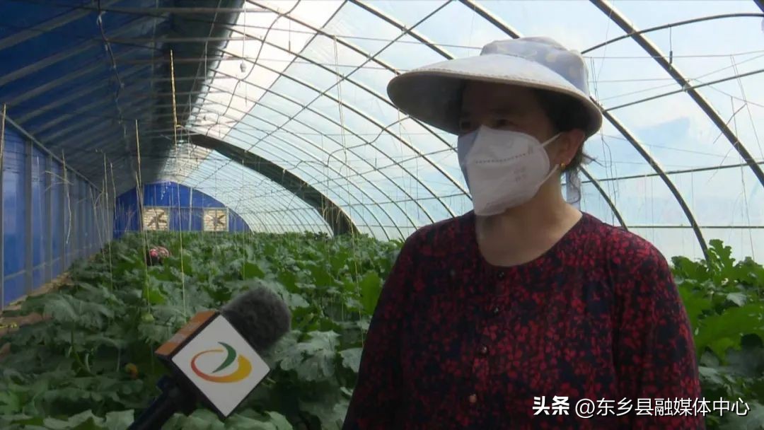 调整农业产业结构带动百姓致富,调优农业结构发展趋势