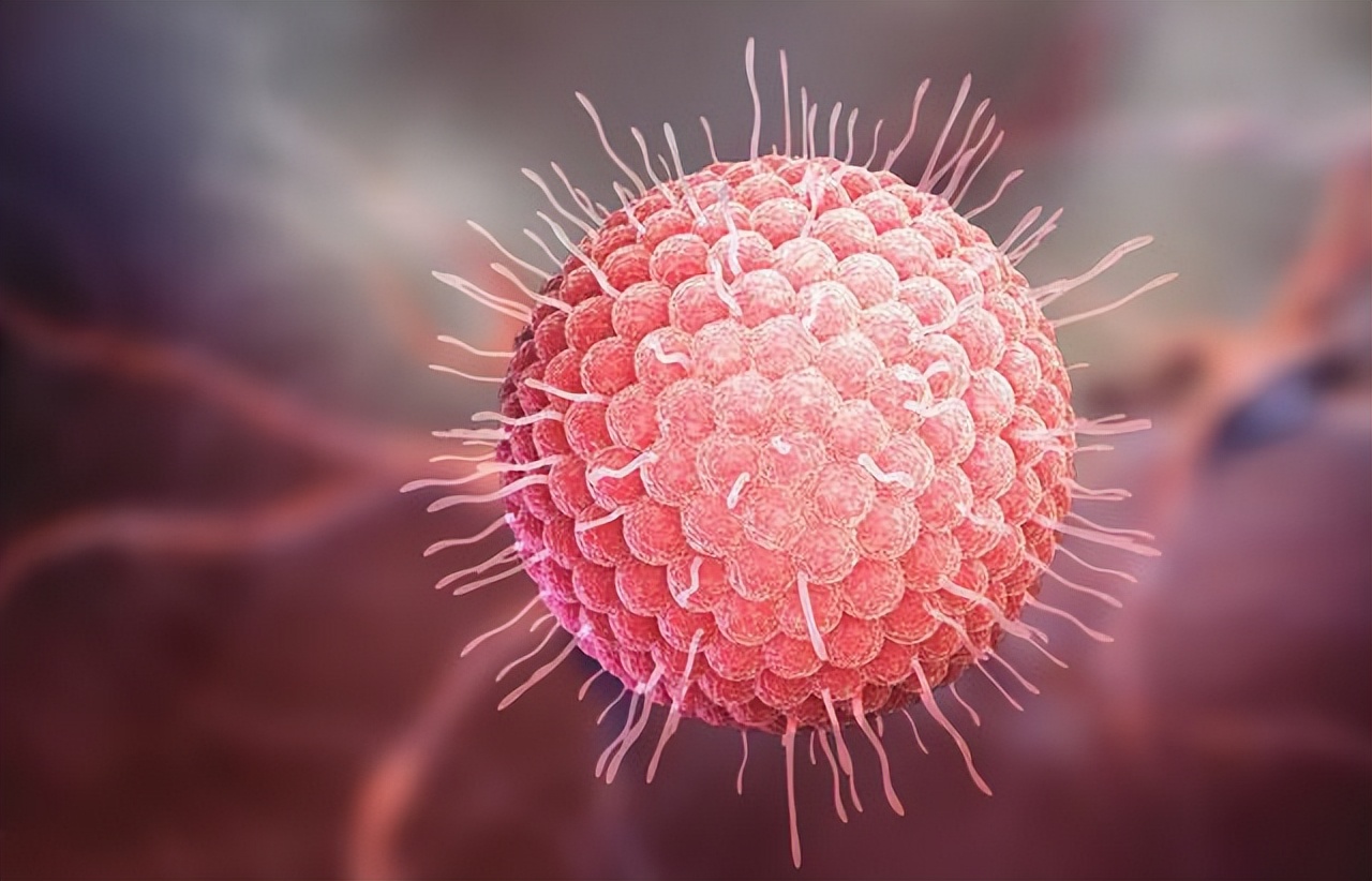 蛇盘疮越长越多怎么办,蛇盘疮腰缠一圈真的会要人命吗