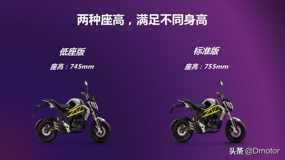 力帆250越野vs宗申沙漠飞狐250x越野,宗申250x越野改街车