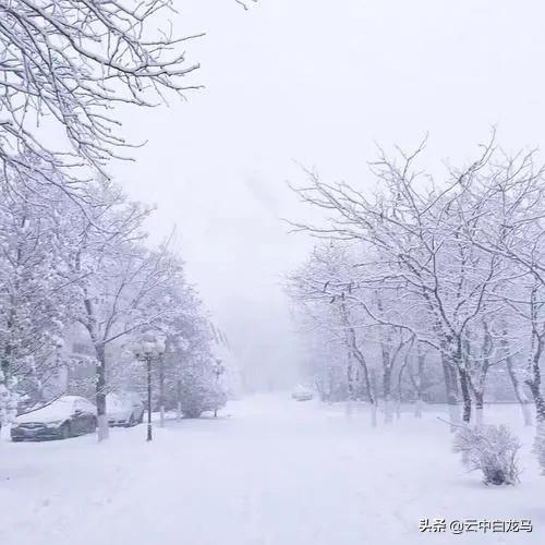 张甫升七律组诗,张甫升七律视频