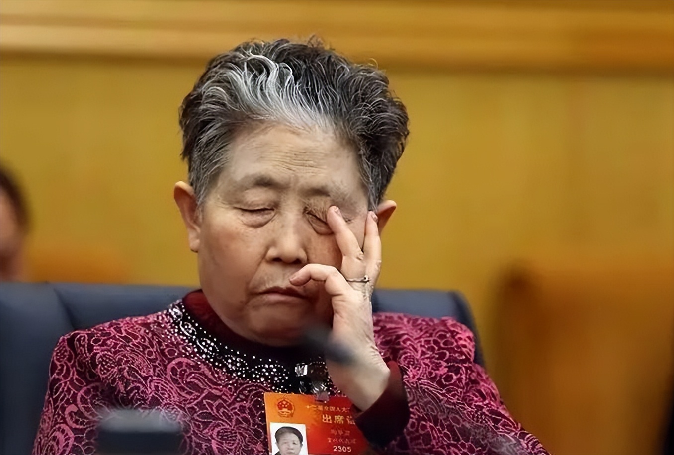 老干妈陶华碧家族,雷军评价陶华碧