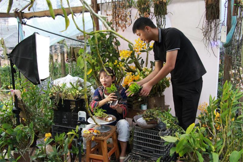 云南90后发家致富,云南90后回村网红