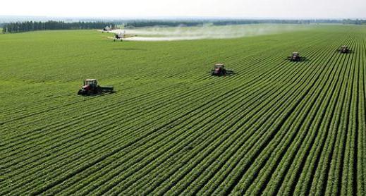 农业可持续性发展的理论与实践,农业技术创新推动农业现代化发展