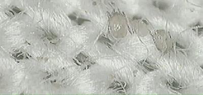 床垫3年没用会有螨虫吗,家里床垫不好用怎么修