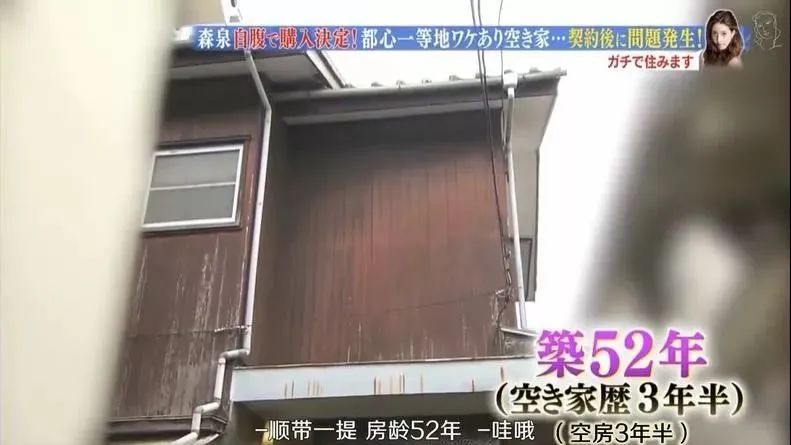 日本林志玲,从模特变包工头!砸4000W买破房,又花500W拆了重装