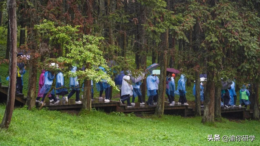 重庆渝你研学培训,市十七中开展研学实践活动