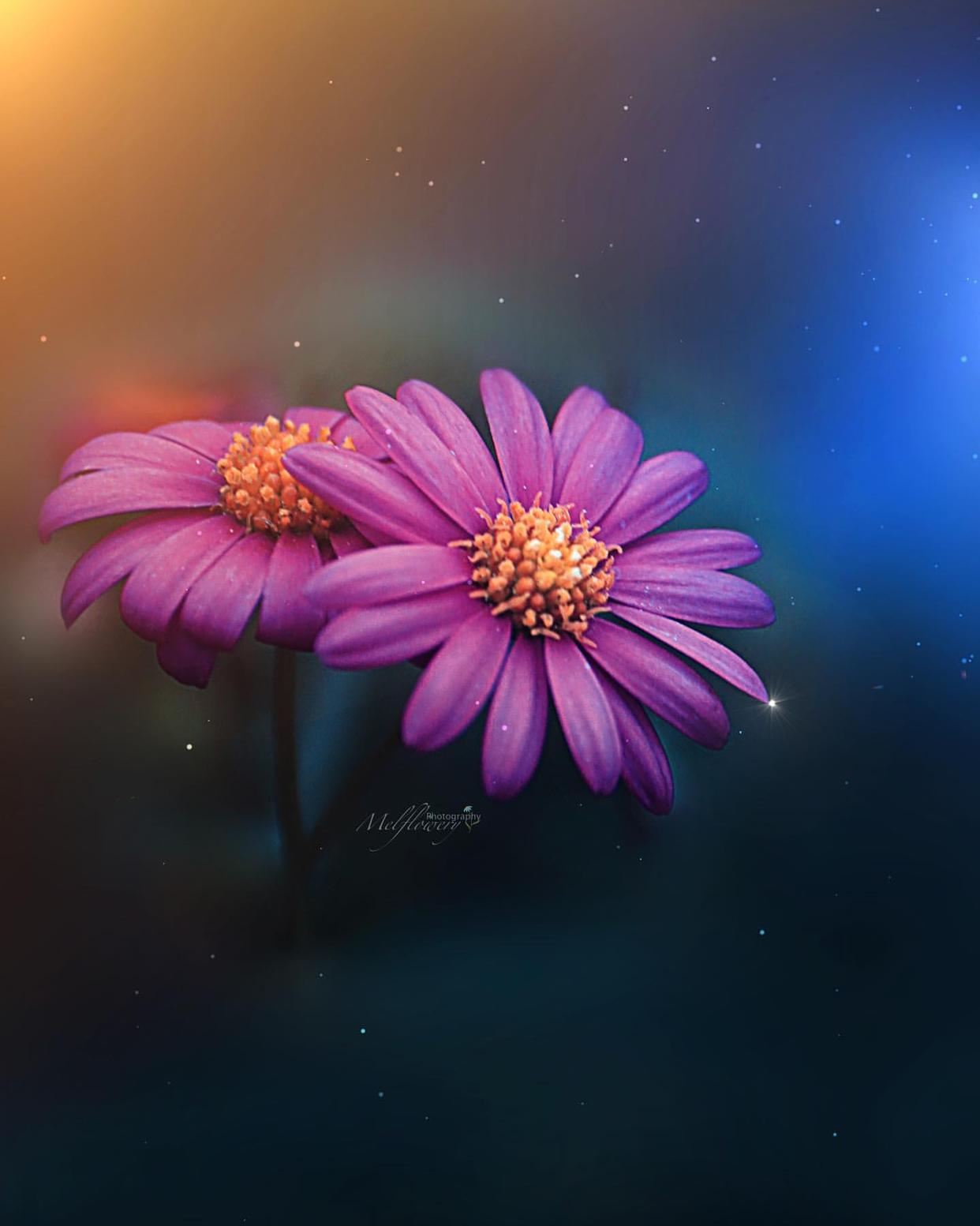 成熟说说男生超拽霸气句子,男生霸气说说经典语录