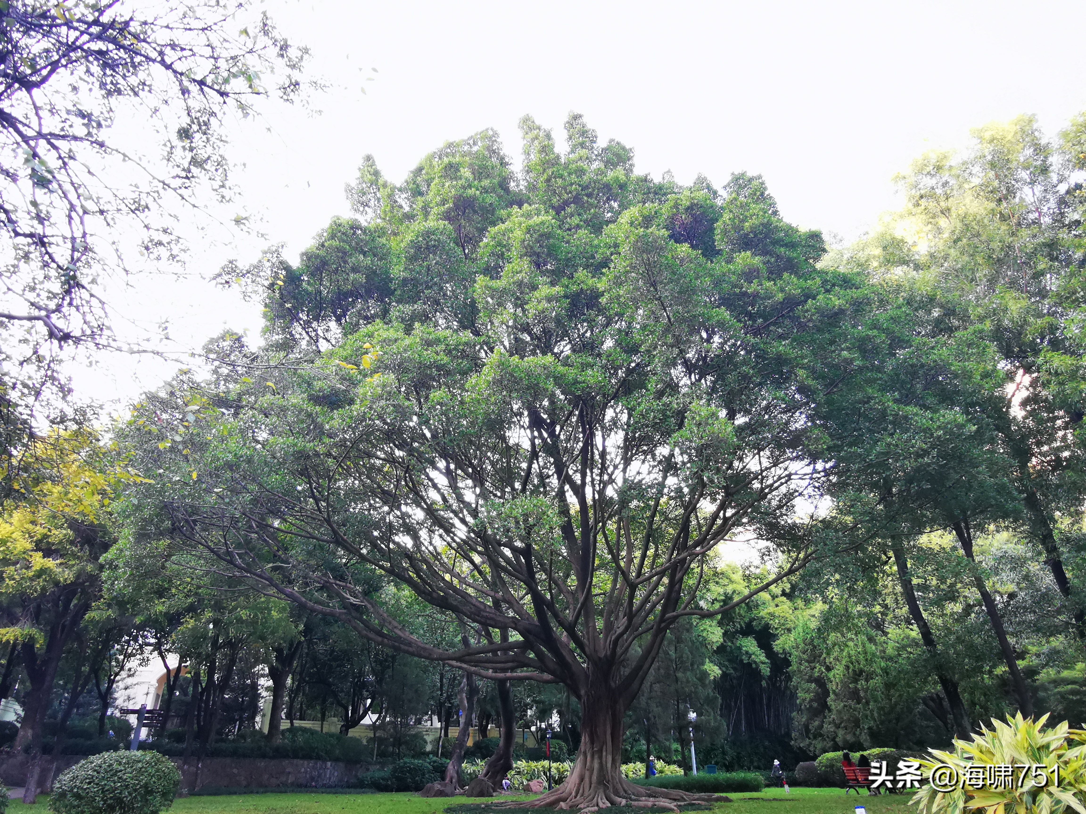 黄花岗公园开放时间,黄花岗公园停车