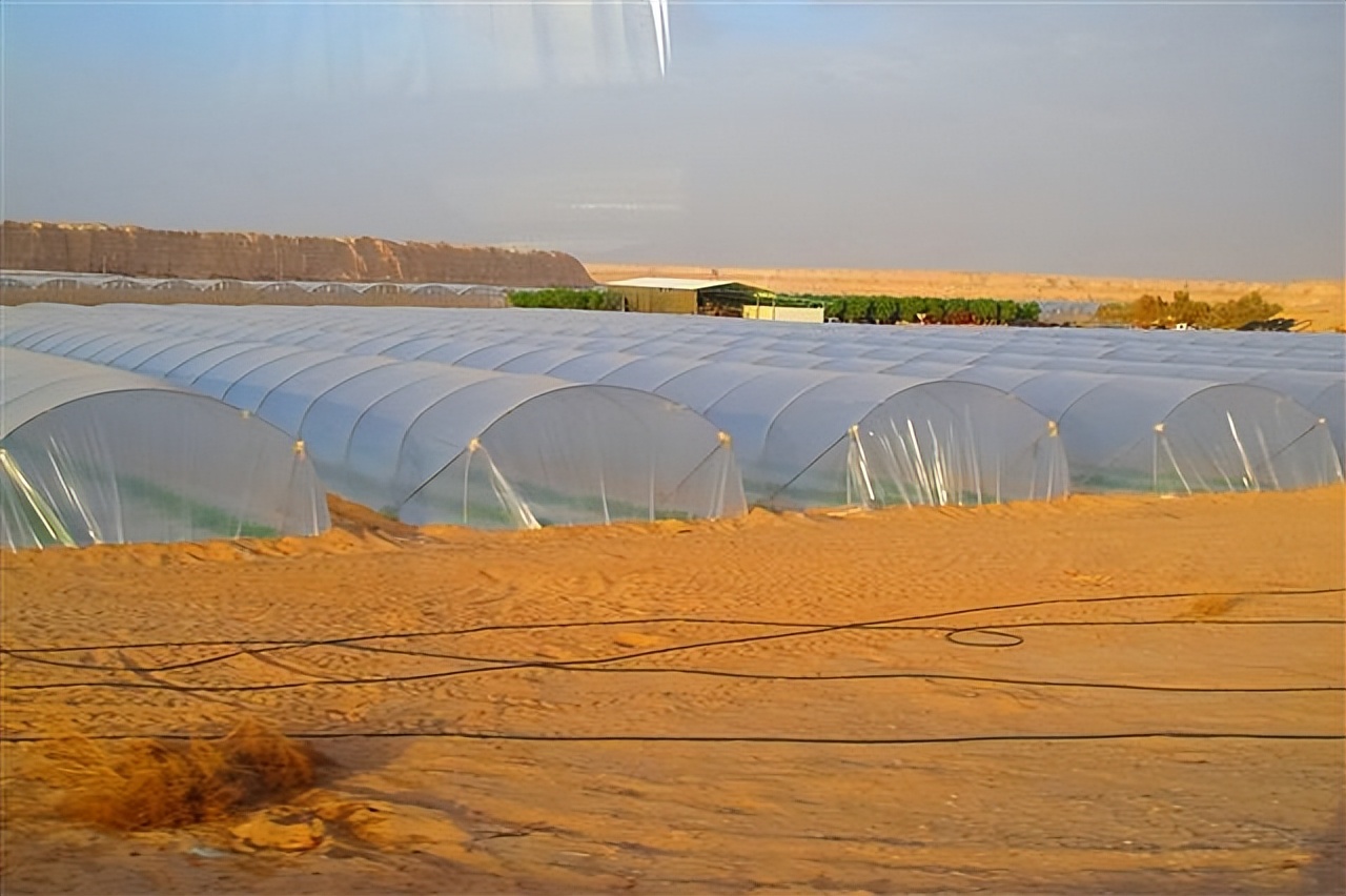 微咸水开发利用情况汇报,反渗透水处理数据分析